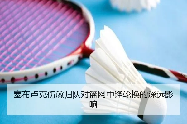 塞布卢克伤愈归队对篮网中锋轮换的深远影响